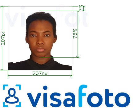Exempel av foto för Kenya visum 207x207 pixel  med en optimal storlek