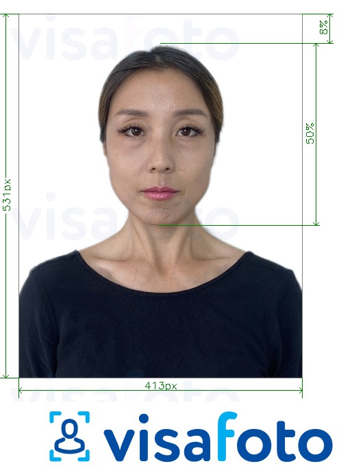 Exempel av foto för Korea pass online  med en optimal storlek