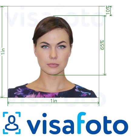 Exempel av foto för USA stapelundersökning 300x300 pixlar  med en optimal storlek