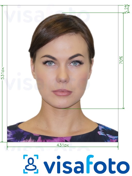 Exempel av foto för Brasilien Pass på nätet 431x531 px  med en optimal storlek
