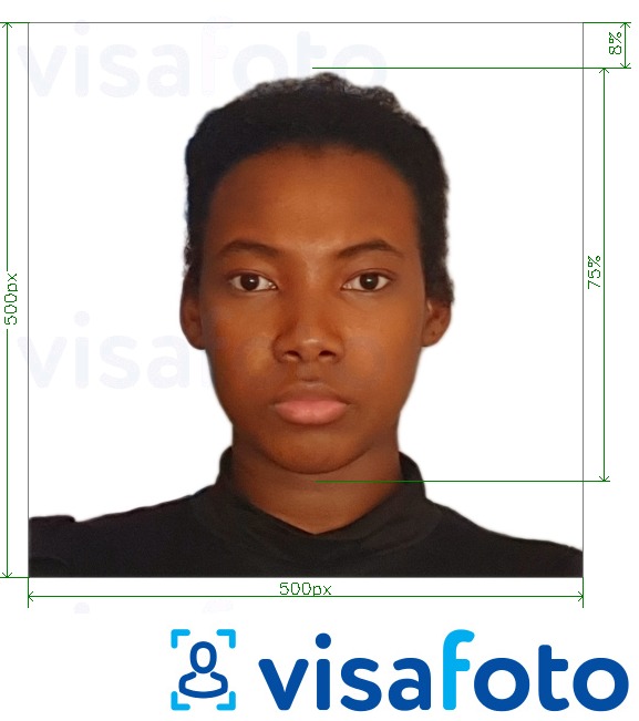 Exempel av foto för Kamerun visa online 500x500 px  med en optimal storlek