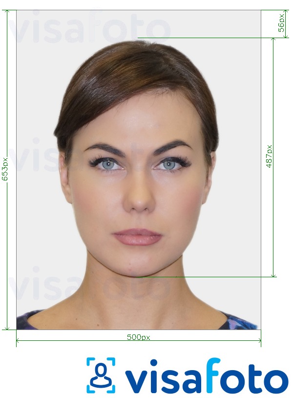 Exempel av foto för Finland Passport online 500x653 px  med en optimal storlek