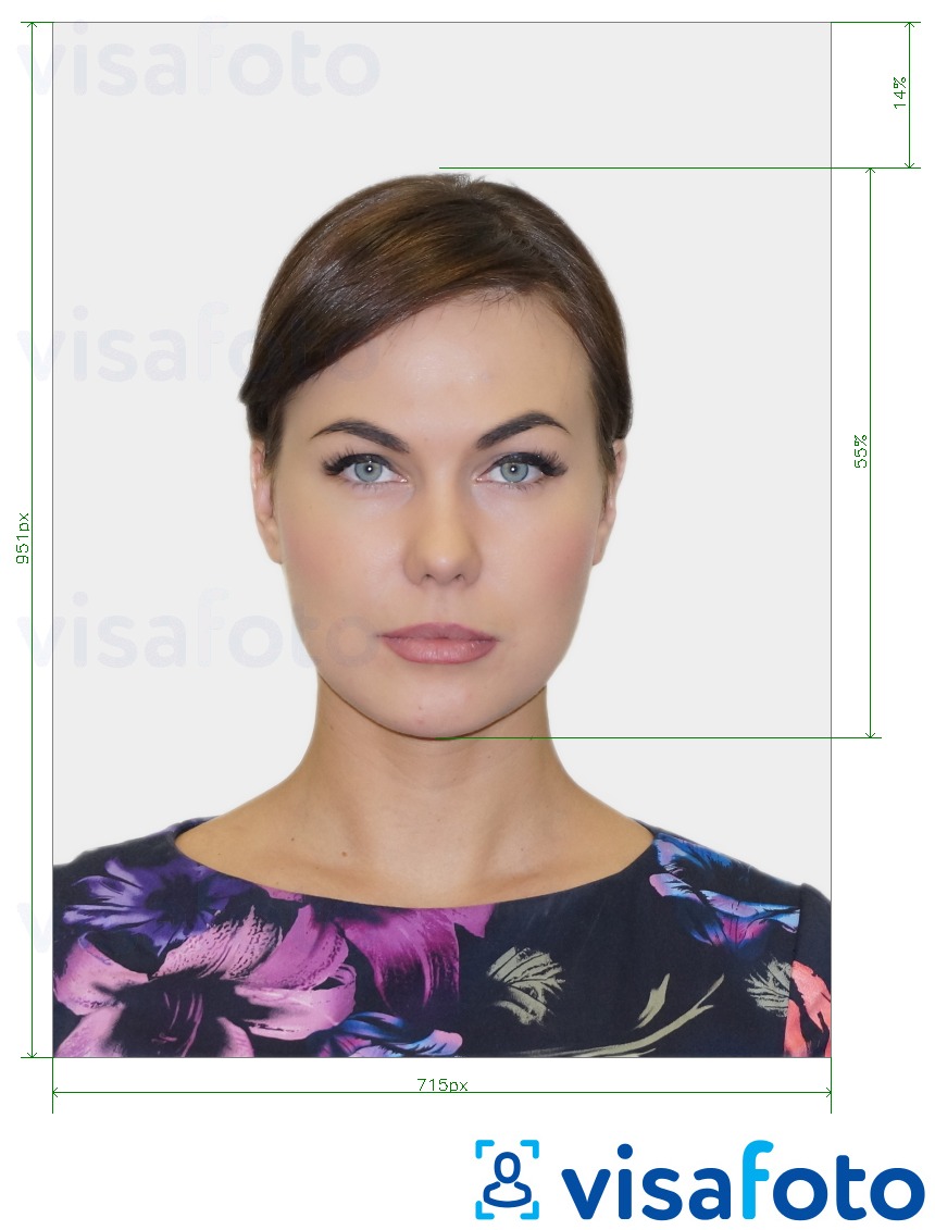 Exempel av foto för Irland Passport online (715x951 px)  med en optimal storlek