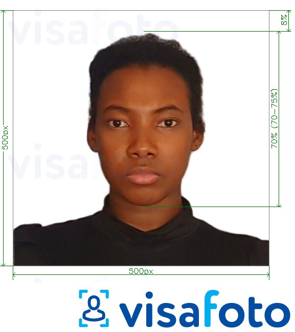 Exempel av foto för Kenya e-visa online 500x500 pixlar  med en optimal storlek