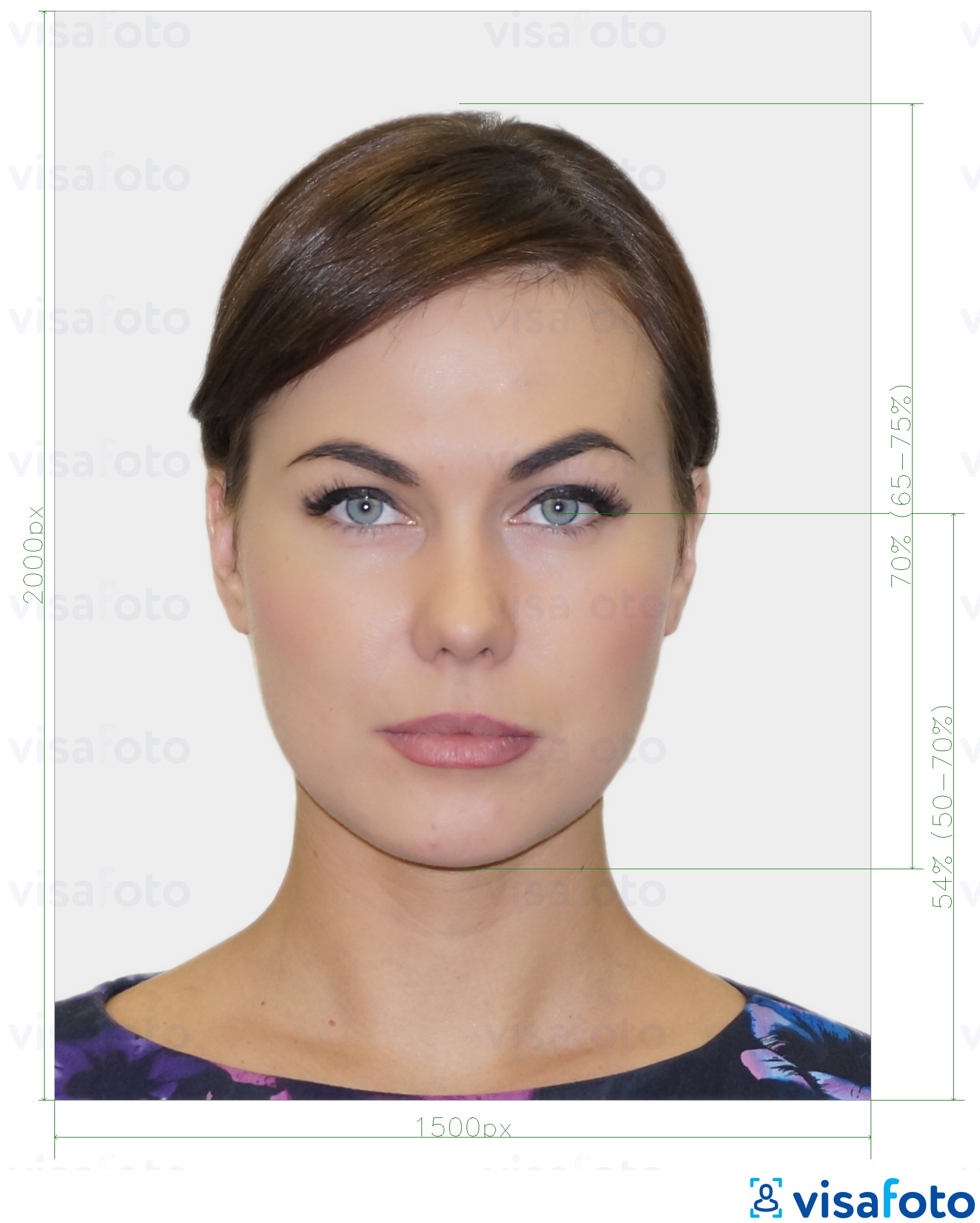 Exempel av foto för Nya Zeeland Passport Online  med en optimal storlek