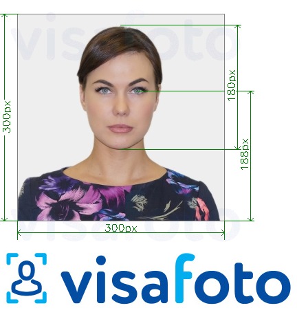 Exempel av foto för Sydosters ID-kort online 300x300 px  med en optimal storlek