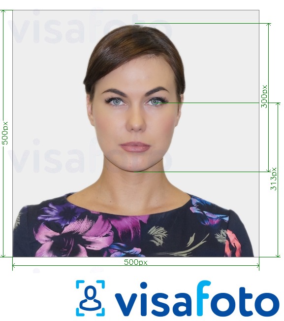 Exempel av foto för University of Virginia ID-kort 500x500 px  med en optimal storlek
